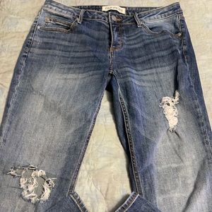 Maurices jeans